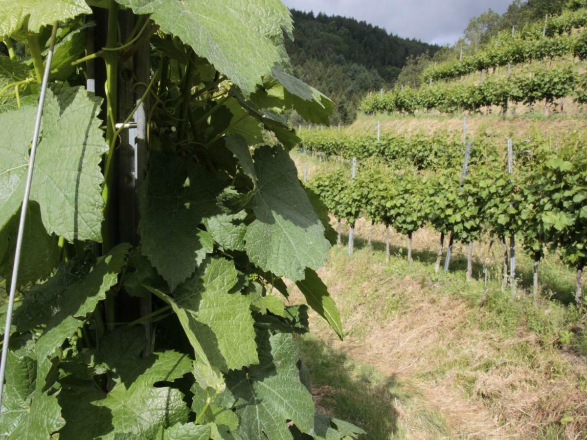 Ferienwohnungen Giedensbach Oberkirch  Exteriör bild
